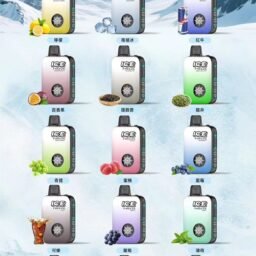 ICE 10000拋棄式主機 獨家自定義涼度切換設計 霸氣 850mAh 續航大電量 流暢 3% 順滑擊喉體驗 全台現貨即刻發貨