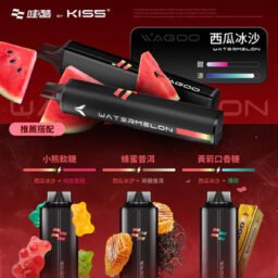 WAGOO 哇酷 KIS5 拋棄式6500口 領航級雙芯驅動黑科技 78 轉瞬變幻口感 職人級防漏密封結構 打造絲綢般極致順滑擊喉力 台灣現貨秒發