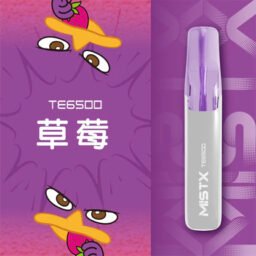 Mist X 鴨嘴獸 6500 巔峰級獨家萌系外觀設計 打造極致療癒系街頭時尚 結合 650mAh 能量核心長效續航 台灣現貨秒發