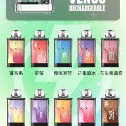 【超值加購130送主機電池】VAPENGIN VENUS 金星 彰顯不凡品味與街頭時尚 搭載 500mAh 能量核心 疾速 Type-C 快充不間斷 台灣現貨